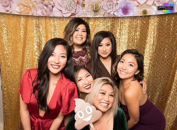 60347 - Ann + David Wedding Photobooth 2017
