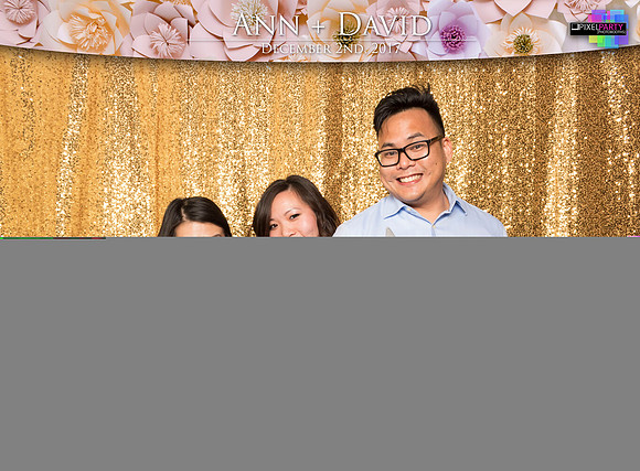 60498 - Ann + David Wedding Photobooth 2017