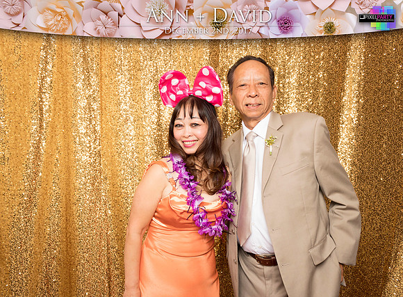 60206 - Ann + David Wedding Photobooth 2017