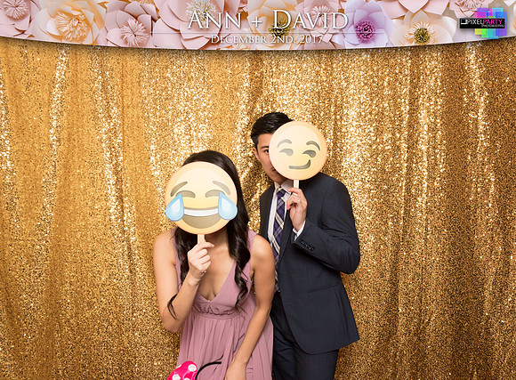 60138 - Ann + David Wedding Photobooth 2017