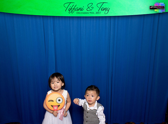 60054 - Tiffani + Tony Wedding Photobooth 2017