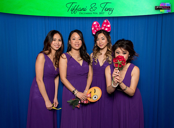 60075 - Tiffani + Tony Wedding Photobooth 2017