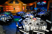 10038 - MIT Club of South Texas Centennial Gala
