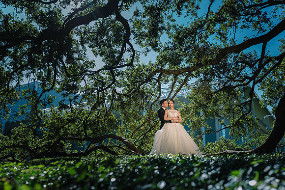 14497 - Diane + Paul Wedding 2019