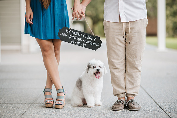 10141 - Anh + Francis Houston Engagement 2018-Edit