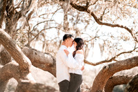 13035 - Lisa + Mike Engagement 2021