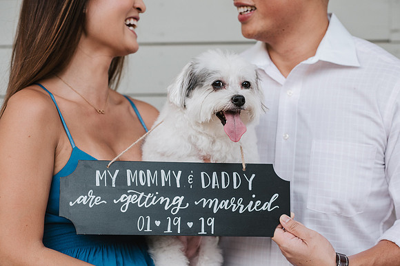 10236 - Anh + Francis Houston Engagement 2018-Edit