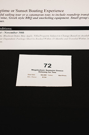 20442 - ZTW Altus Gala 2024